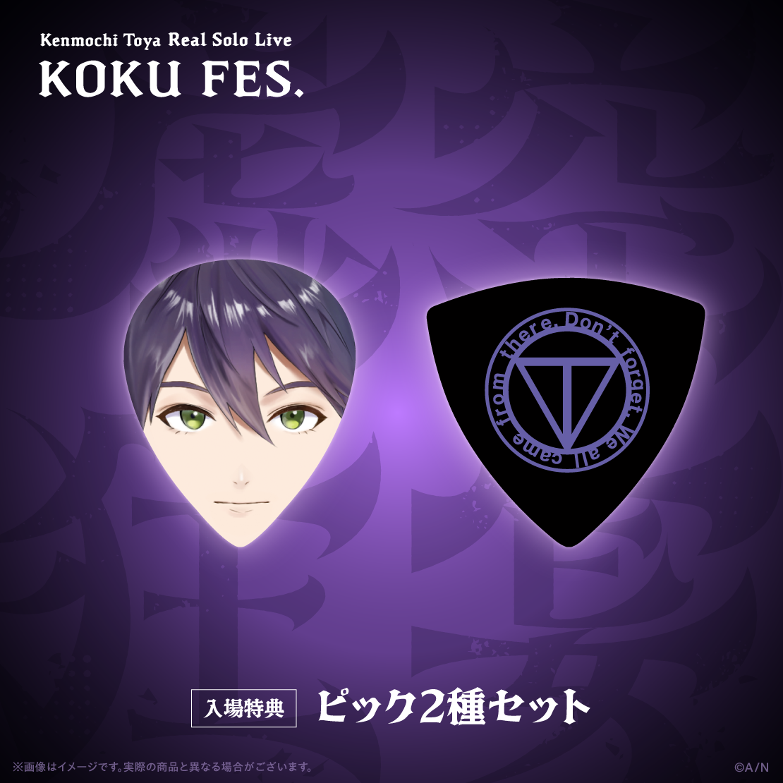 ピック2種セット